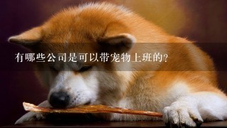 有哪些公司是可以带宠物上班的？