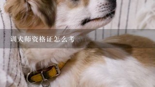 训犬师资格证怎么考