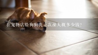 在宠物店给狗狗洗一次澡大概多少钱？