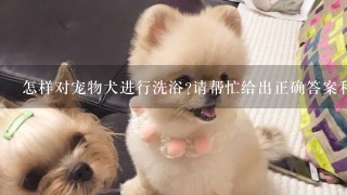 怎样对宠物犬进行洗浴?请帮忙给出正确答案和分析，谢谢！