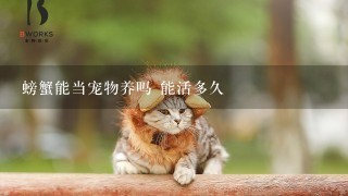 螃蟹能当宠物养吗 能活多久