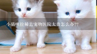 小猫咪拉稀去宠物医院太贵怎么办??