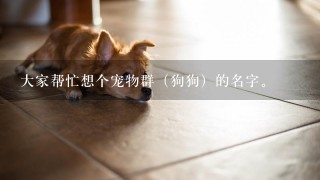 大家帮忙想个宠物群（狗狗）的名字。