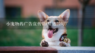 小宠物药广告宣传语(精选22句)