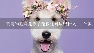 喂宠物垂耳兔除了兔粮还可以喂什么 一个多月大。