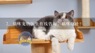 猫咪宠物医生在线咨询，猫咪呕吐？