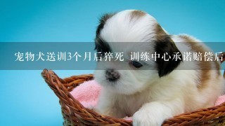 宠物犬送训3个月后猝死 训练中心承诺赔偿后反悔