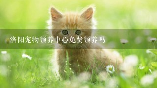 洛阳宠物领养中心免费领养吗