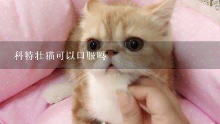 科特壮猫可以口服吗