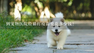 到宠物医院给猫打疫苗要花多少钱？