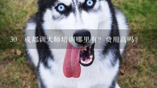 30 成都训犬师培训哪里有？费用高吗？