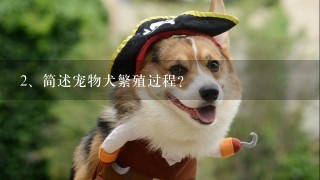 简述宠物犬繁殖过程?