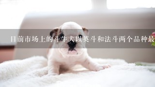 目前市场上的斗牛犬以英斗和法斗两个品种最为常见，