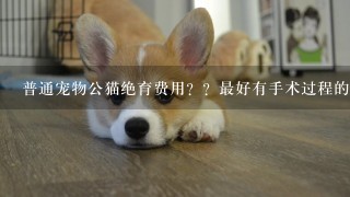 普通宠物公猫绝育费用？？最好有手术过程的介绍和各种详细价格