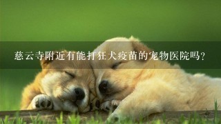 慈云寺附近有能打狂犬疫苗的宠物医院吗？