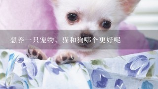 想养一只宠物，猫和狗哪个更好呢