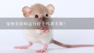 宠物美容师这行好干吗累不累？