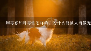 剧毒寡妇蛛毒性怎样的，为什么能被人当做宠物养？