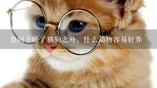 想问下除了猫狗之外，什么动物容易好养