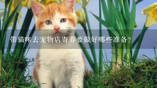 带猫咪去宠物店寄养要做好哪些准备？