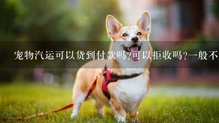 宠物汽运可以货到付款吗?可以拒收吗?一般不远的多少钱?知道的回答非常感谢!(^_^) 不知道得真心