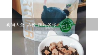 狗狗大全 品种 图片名称