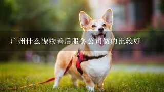 广州什么宠物善后服务公司做的比较好