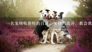 一名宠物殡葬师的自述：宠物的离开，教会我们什么？