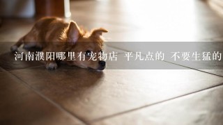 河南濮阳哪里有宠物店 平凡点的 不要生猛的