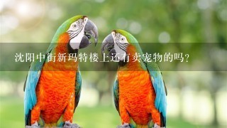 沈阳中街新玛特楼上还有卖宠物的吗？