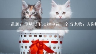 一道题：你从以下动物中选一个当宠物：A狗B猫C蜥蜴D