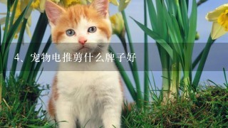 宠物电推剪什么牌子好