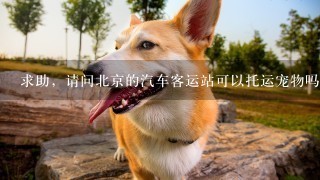 求助，请问北京的汽车客运站可以托运宠物吗，很小一只3斤不到，更想知道能带宠物上车吗，站在上车可以不
