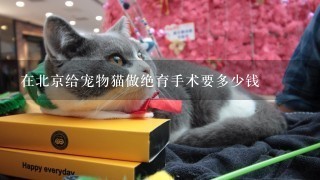 在北京给宠物猫做绝育手术要多少钱