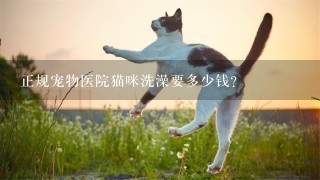 正规宠物医院猫咪洗澡要多少钱?