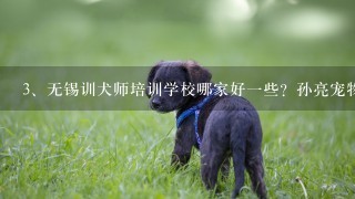 无锡训犬师培训学校哪家好一些？孙亮宠物训犬学校怎