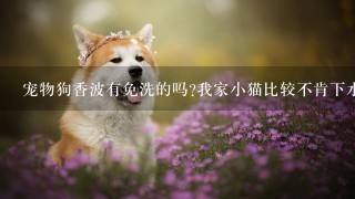 宠物狗香波有免洗的吗?我家小猫比较不肯下水怎么办？