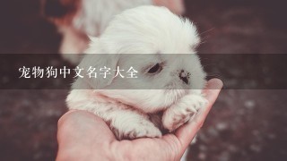 宠物狗中文名字大全