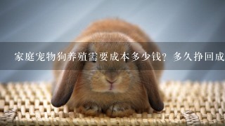 家庭宠物狗养殖需要成本多少钱？多久挣回成本，？