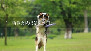 猫鼻支试纸怎么使用？