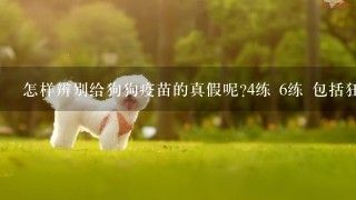 怎样辨别给狗狗疫苗的真假呢?4练 6练 包括狂犬疫苗