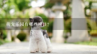 萌宠乐园有哪些项目？