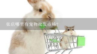 张店哪里有宠物批发市场？