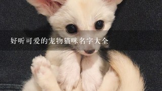 好听可爱的宠物猫咪名字大全