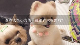 泰森或李小龙能单挑银背大猩猩吗？