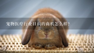 宠物医疗行业目前的商机怎么样？