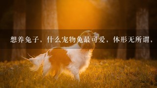 想养兔子，什么宠物兔最可爱，体形无所谓，只要胖胖