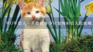 WOW猎人一共能抓多少只宠物和猎人能抓哪几类型的宠物