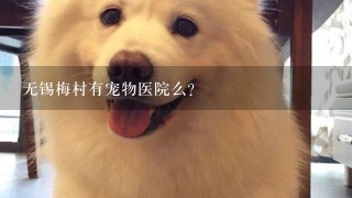 无锡梅村有宠物医院么?