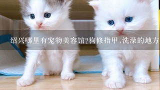 绍兴哪里有宠物美容馆?狗修指甲,洗澡的地方,有吗?